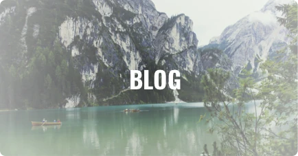 Blog